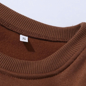 Sweat-shirt à capuche unisexe de haute qualité 100% coton pour l'hiver, sweat-shirt écologique, vente en gros pour hommes, échantillon gratuit - Product Image 2