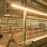 Cage à poussins de qualité supérieure en acier galvanisé à bon prix