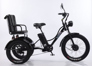 Vélo électrique à 3 roues le plus vendu, siège large avec moteur avant, tricycle électrique avec siège passager - Product Image 3