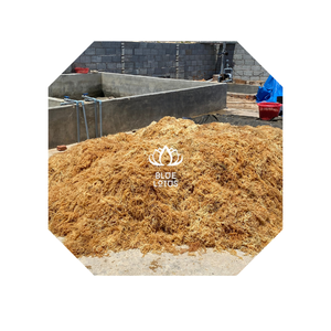 มอสทะเลทองคําคุณภาพสูงธรรมชาติ Oragnic 100% / ซีแอมอสสีขาว - Product Image 1