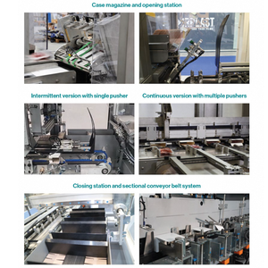 GEA Semi-Automatic Case Packer Italy Manufactured Intermittent Motion Pre-Glued Cartons Manual Multi-Function Packaging Machine - Product Image 5