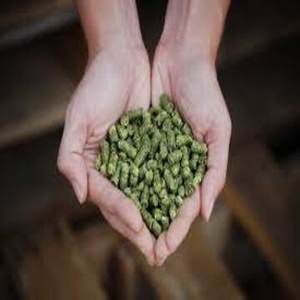 Pellets de Heno de Alfalfa de Primera Calidad con 2% de Humedad para Ganado, Pollos, Perros y Caballos en Venta - Product Image 6