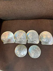 คุณภาพสูงริมฝีปากสีเหลืองแม่จานมุกคาเวียร์เสิร์ฟจานเสิร์ฟทําจากเปลือกแฮนด์เมดเวียดนามคาเวียร์แผ่น - Product Image 4