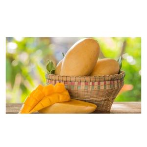 Mango Amarillo Fresco de Grado A, 99% Maduro, 12-16 cm, Precio Económico, de Portugal - Product Image 6