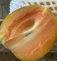 Kualitas Premium Harga Bagus Sapodilla Segar Dari Vietnam Merek Viet Delta Grade A 2kg