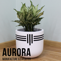 Jardinières en fibrociment peintes, aspect béton, écologiques, style moderne minimaliste pour jardins urbains, bureaux et projets hôteliers