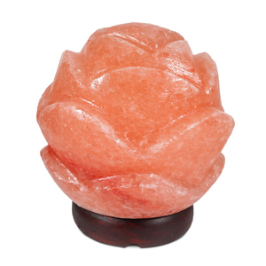 Lampe en sel de l'Himalaya naturel faite à la main, forme de fleur, cristal de roche, veilleuse pour la décoration de la maison - Product Image 5