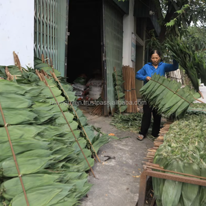 100% feuilles de bambou séchées au soleil naturelles grande taille 9cm + marque HNIECO 12 mois durée de conservation prix compétitif direct Vietnam pour gâteau - Product Image 3