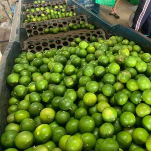 Citrons verts et jaunes frais en gros, cultivés naturellement, fruits de citron de qualité supérieure en gros - Product Image 2