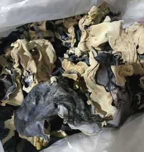 Seta de oreja de madera seca de alta calidad | Hongo negro orgánico de Vietnam - Product Image 3