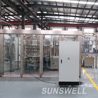 Machine remplissante de purification et d'embouteillage de l'eau pour la petite usine de l'eau