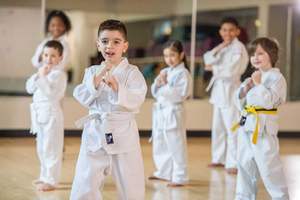 Uniforme de karaté sportif pour enfants et adultes uniforme d'arts martiaux léger pour étudiants de karaté Gi avec ceinture - Product Image 2