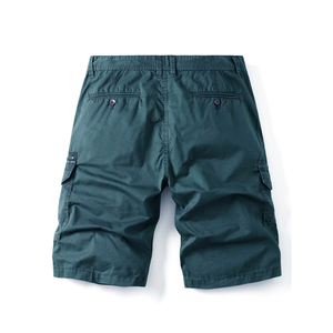 Shorts en toile décontractés pour hommes, style nouveau, couleur unie, taille et couleur personnalisables, respirants, séchage rapide, impression numérique, haute qualité - Product Image 6