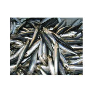 Arenque Congelado Fresco en Oferta, Pescado Entero envasado al Vacío, Grado Superior Orgánico - Product Image 5