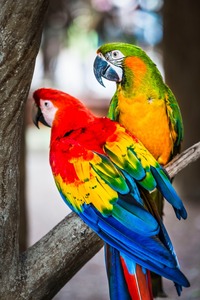 Toalla de playa de algodón personalizable 350 GSM Digital impresa con estilo Tropical para gimnasio Vacaciones verano tomar el sol 21 - Product Image 5