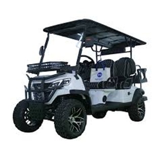 มอเตอร์ไฟฟ้า48V/72V รถกอล์ฟแบรนด์จีน2-Seater 2025แบรนด์ใหม่ - Product Image 1