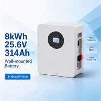 Batterie LiFePO4 51,2V 314Ah à montage en rack, 8kWh pour stockage d'énergie domestique, système solaire ESS avec BMS intelligent CAN 200A de décharge Tianon