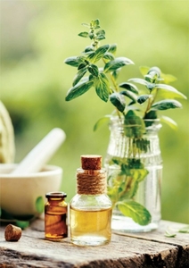 100%mentha citrata oil india Oil Wholesale <b>Bulk</b> mentha citrata oil india Oil Natural and Pure mentha citrata oil india - Product Image 3