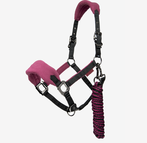 SHEMAX 2024 CALIDAD SUPERIOR VENTA CALIENTE PERSONALIZADA AL POR MAYOR Vogue Headcollar & Leadrope Plum - Product Image 1