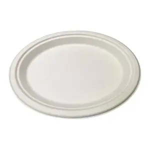 Assiette de bagasse jetable à haute vente 10 pouces 100% canne à sucre non toxique écologique, biodégradable et compostable