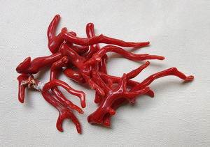 Wow.82 Cts 100% Piedra preciosa de coral rojo italiano natural Rama suelta Pulido AAA + Calidad Coral Stick Piedras preciosas lisas - Product Image 3