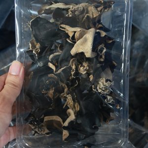 SETA DE OREJA DE MADERA SECA PREMIUM | ETIQUETA LIMPIA | RICO EN FIBRA | LISTO PARA LA EXPORTACIÓN - Product Image 4