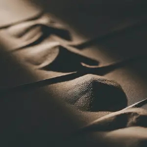 Pureté noire de la poudre 99.9% de colorants du noir acide 24 pour le textile en cuir de papier CAS 3071 - Product Image 1