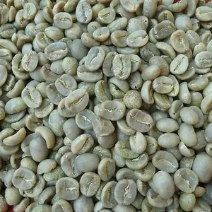 卸売専門アラビカコーヒーCAUDAT-グリーンコーヒー豆ウェットポリッシュ