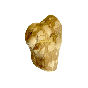 Fabricant en gros 100% jouet à mâcher en peluche naturel amusant pour les chiens agressifs sûr VN HOANG LINH SG Kimy - Product Image 3