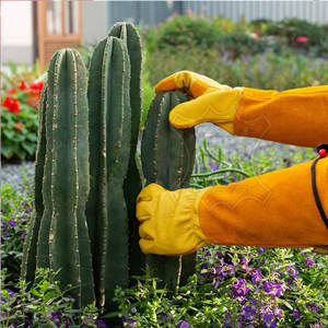 Fournisseur de gants de travail en gros pour hommes et femmes, gants de jardin respirants, gants de jardinage tactiles, gants de jardinage multi-usages - Product Image 4