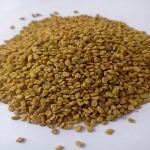 Graines de fenugrec naturelles RGPL Radiance Global, pureté 99%, origine Tamil Nadu, durée de conservation 1 an, modèle 02, pour assaisonnement culinaire - Product Image 3