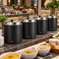 Chauffe-Plats Électrique Professionnel en Acier Inoxydable 11L pour Soupe et Aliments, Sans Eau, à Chaleur Sèche, Idéal pour Hôtels, Restaurants, Buffets et Traiteurs