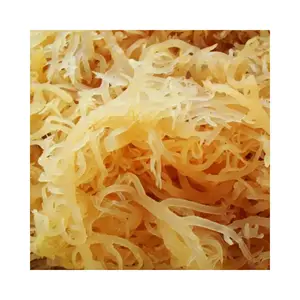 卸売乾燥海苔-Eucheuma Cottonii海藻-アイルランドのモスカラギーナンを生産するための塩なし
