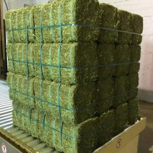 หญ้าอัลฟัลฟ่าสะอาดสดใหม่พร้อมจำหน่ายสำหรับผู้ซื้อจำนวนมาก พร้อมบริการขนส่งที่เชื่อถือได้ มัดเป็นก้อนสำหรับอาหารสัตว์ จัดส่งออกนอกประเทศได้จำนวนมาก - Product Image 3