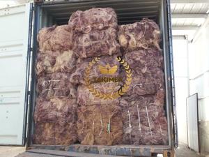 สาหร่ายทะเล Gracilaria แห้งสำหรับทำผงวุ้นสกัดหรือเจลาติน - Product Image 6