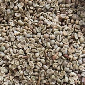 เมล็ดกาแฟอาราบิก้าเกรด 2 คั่วแบบเวียดนาม บรรจุภัณฑ์แบบขายส่ง - Product Image 3