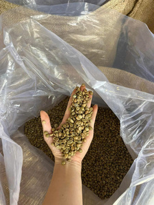 HANCOFFEE 2025 Nouvelles récoltes à venir Café vert du Vietnam Meilleur prix Grains de café Arabica Robusta Bruts Haute qualité Grade 1-3 taille 14-18 - Product Image 5