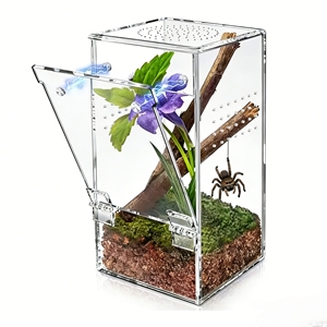 Terrario in Acrilico Multidimensionale dal Design Classico, Produzione Rapida, Disponibile in Diverse Misure, Direttamente dal Produttore - Product Image 1