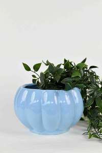 Maceta pequeña en forma de calabaza Adorable maceta de mesa para decoración de hogar y jardín - Product Image 2