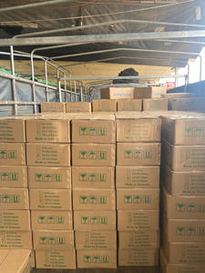 Nata De Coco cru de qualité supérieure 5mm 8mm 10mm Taille Fruité aromatisé Lait de coco compressé en vrac Fournisseur de confiance Viet Nam-VIET THIEN PHU - Product Image 6