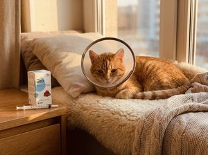Complément alimentaire Ledu-Uro pour la santé urinaire des chats – 30 ml, soulagement de l'urolithiase et de la cystite - Product Image 4