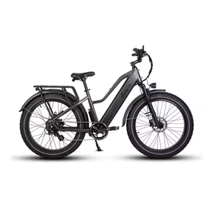 Bicicleta Eléctrica de Ciclismo de Alta Velocidad 2024, Nueva, Original, de Marca Superior, con Motor en la Rueda Trasera, Precio de Oferta, Precio Económico - Product Image 1