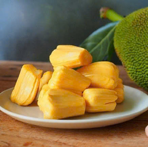 Poudre de jacquier, fabriquée au Vietnam: sans additif, certifiée de qualité alimentaire - Product Image 1