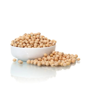 Soja frais biologique sans OGM en vrac riche en nutriments pour la transformation des denrées alimentaires et des aliments pour animaux. - Product Image 6