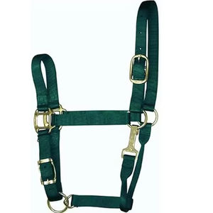 Durable Nylon Horse Halter Premium Ajustable Fuerte Cómodo Headcollar Entrenamiento Halter Venta al por mayor Bulk Horse Tack - Product Image 1