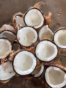Type semi-décortiqué de noix de coco naturelle fraîche avec de la viande de noix de coco mature idéale pour l'utilisation alimentaire et la transformation des boissons sur les marchés - Product Image 2
