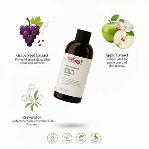 Shampoo per Cani Biologico RedMoringa Pet Products Uva e Mela 200 mL Premium OEM PL Italia per Toelettatura - Product Image 3