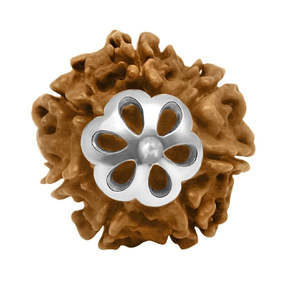 Pendentif Trishul en argent 925 avec Rudraksha 7 Mukhi népalais, 100% original et certifié, pendentifs et breloques de qualité supérieure - Product Image 4