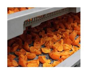 Kaki séché au vent du Vietnam de haute qualité-Kaki séché au vent de spécialité Da Lat fabriqué à la main pour le marché mondial haut de gamme - Product Image 6