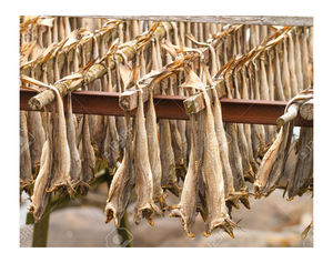 Pescado seco Anchoa/Espadín mariscos bien secos Disponible/Calamar seco Proveedor superior 99 a bajo precio - Product Image 2